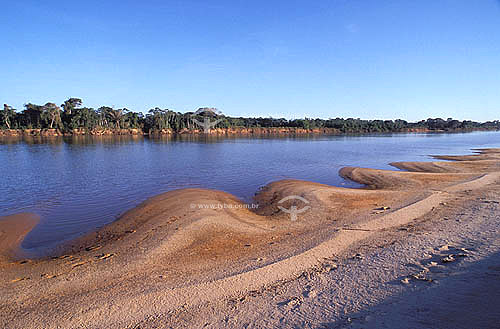  Araguaia River - Pantanal National Park - Mato Grosso state - Brazil 