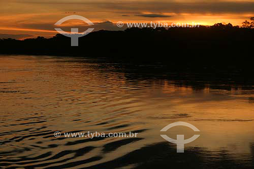  Madeira River at dawn - Rondonia state - Brazil - January 2006 