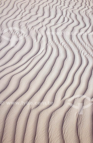  Aerial view of Lençois Maranhenses Region - Maranhao state - Brazil 