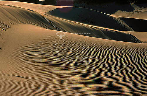  Sand dunes - Cabo frio city - Rio de Janeiro state - Brazil 