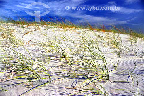  Dunes - 