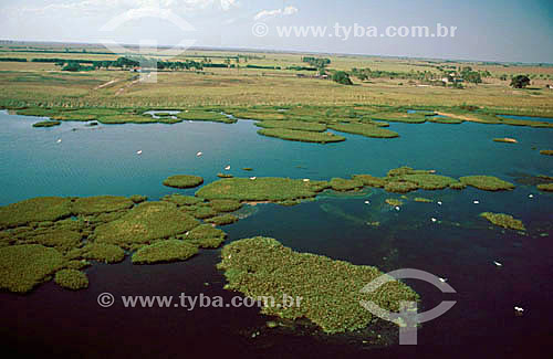  Feia Lagoon (Ugly Lagoon) - Rio de Janeiro state - Brazil 