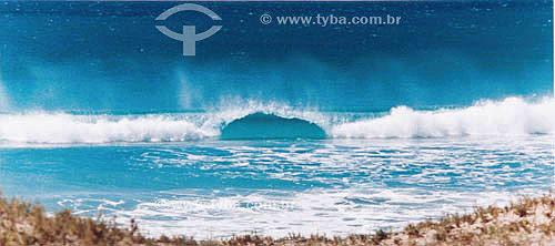  Wave breaking on the Atlantic Ocean - Brazil 