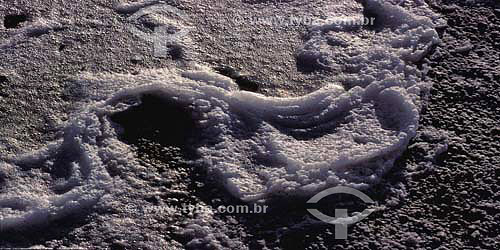  Sea water foam over a rock 