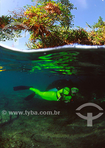  Diver in Angra dos Reis region - Rio de Janeiro state - Brazil 