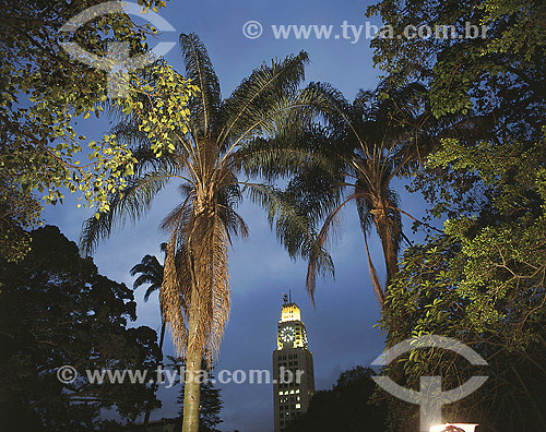  Jeriva Palmtree with Central do Brasil building on the background - Rio de Janeiro city - Rio de Janeiro state - Brazil 