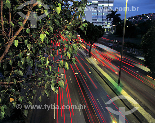  Detail of tree and cars lights - Rio de Janeiro city - Rio de Janeiro state - Brazil 