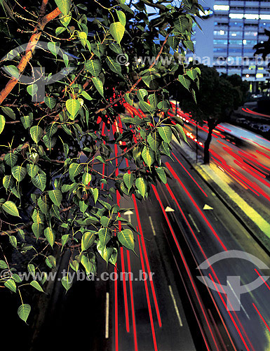  Detail of tree and cars lights - Rio de Janeiro city - Rio de Janeiro state - Brazil 