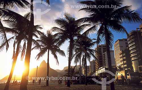  Sunset in Ipanema with Coconut Palms and Two Brothers  Mountain on the background - Rio de Janeiro city - Rio de Janeiro state - Brazil 