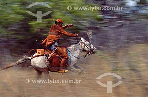  Country man by horse - Caatinga Ecosystem - Brazil 