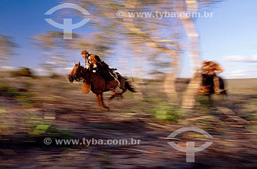  Northeastern brazilian cowboy wearing leather clothes by horse - Caatinga Ecosystem - Brazil 