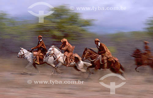  Northeastern brazilian cowboy wearing leather clothes by horse - Caatinga Ecosystem - Brazil 