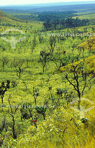  Subject: View from  Avoador Belvedere - Cerrado vegetation in Emas National Park / Place: Goias state (GO) - Brazil / Date: 2002 