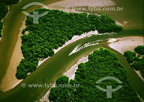  Aerial view of the Guaraqueçaba mangrove - Parana state - Brazil 