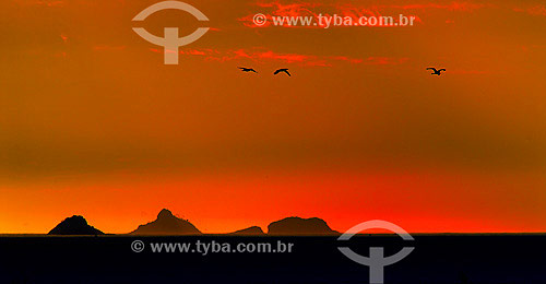  View of the Tijucas islands - Rio de Janeiro city - Rio de Janeiro state - Brazil - 2006 