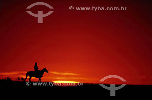  Man and horse at sunset - Southern of Brazil 