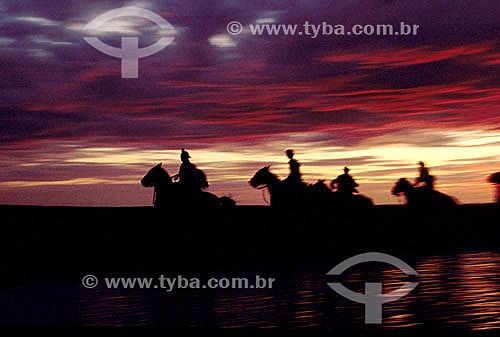  Men and horses at sunset in the fields - Southern of Brazil 