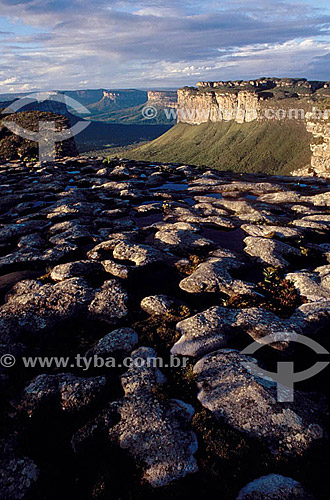  Morro do Camelo (Camel Hill) - National Park of the Chapada Diamantina - Cerrado ecosystem - Bahia state - Brazil 