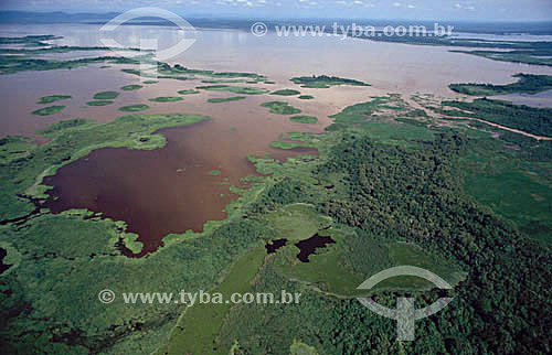  Aerial view of Pantanal region at flood period - Matogrosso state - Brasil 