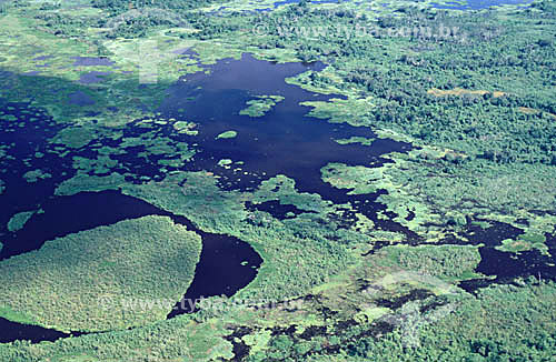  Aerial view of Pantanal region flooded 