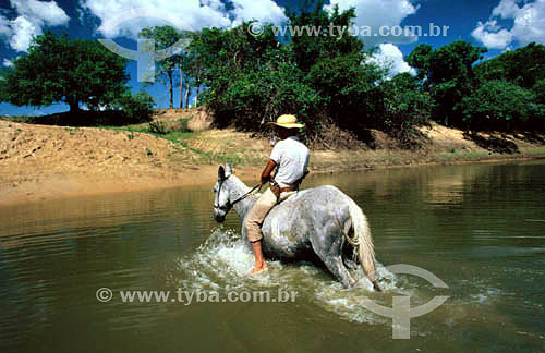  Man crossing a river by horse - Pantanal National Park* - Mato Grosso state - Brazil  * The Pantanal Region in Mato Grosso state is a UNESCO World Heritage Site since 2000. 