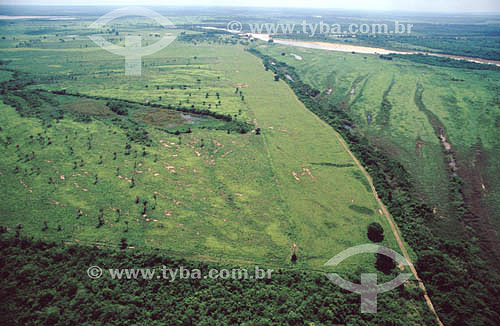 Aereal view - Pantanal National Park* - Mato Grosso state - Brazil  * The Pantanal Region in Mato Grosso state is a UNESCO World Heritage Site since 2000. 