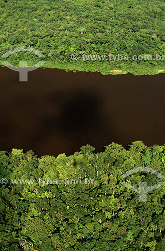  Aereal view - Pantanal National Park* - Mato Grosso state - Brazil  * The Pantanal Region in Mato Grosso state is a UNESCO World Heritage Site since 2000. 
