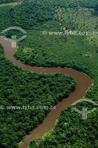  Aerial view of Pantanal National Park - Brazil 