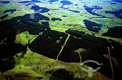  Aerial view - south Brazil 