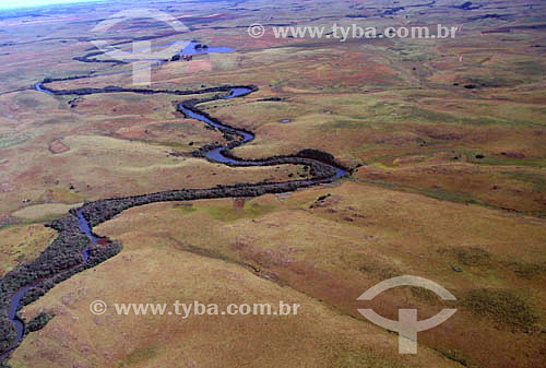  Gallery forests stand out in areas where grasslands cover the higher elevations - South Brazil 