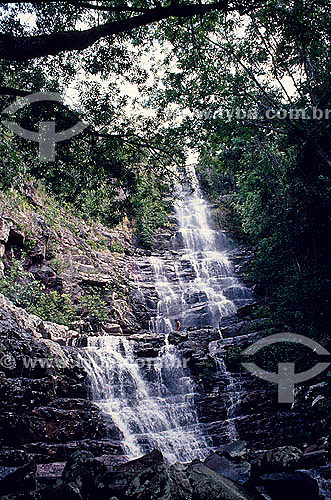  Waterfall - Amazon Rainforest - Venezuela 