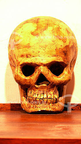   Human skull at Anthropology and Historic Museum of Cartagena city - Colombia 