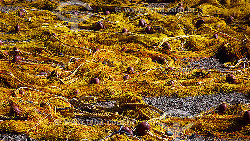  Fishing net - Santorini - Greece - 10/2007 