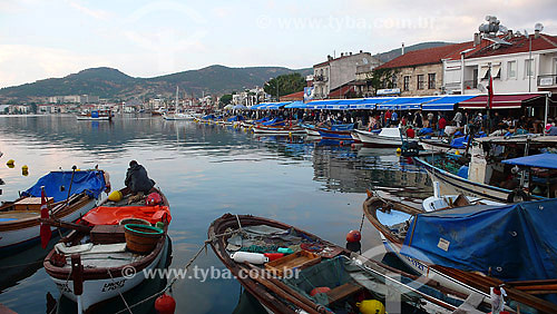  Foca - Turkey 