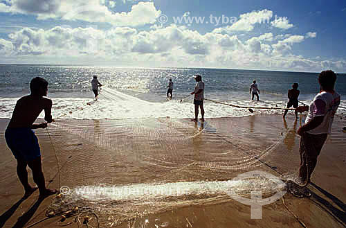  Fishermen pulling a net in Porto Seguro* - Bahia state - Brasil  * The Costa do Descobrimento (Discovery Coast site, Atlantic Forest Reserve) and the area is a UNESCO World Heritage Site since 01-12-1999 and includes 23 areas of environmental protec 