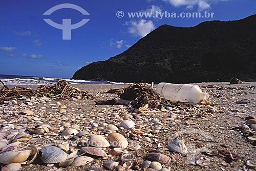  Environment pollution with plastic bottle on the beach - Juréia-Itatins Ecological Station -  Atlantic Rainforest - Sao Paulo state - Brazil 