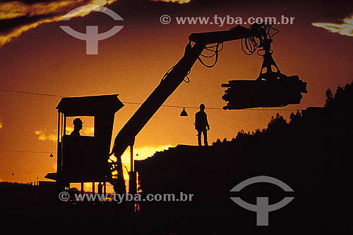  Workers working with a machine at a wood factory 