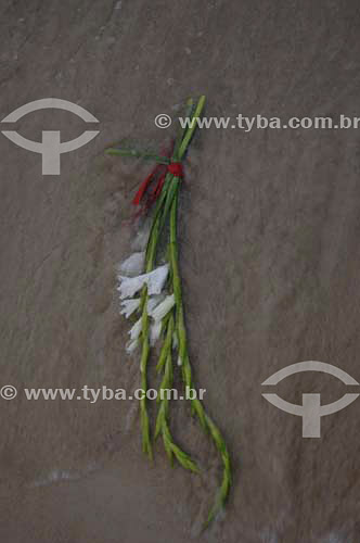  Offering (flower) - Orixas - Iemanjá cult - Umbanda and Candomble - African Brazilian religion - New Year`s Eve - Copacabana - Rio de Janeiro city - Rio de Janeiro state - Brazil  - 2005 