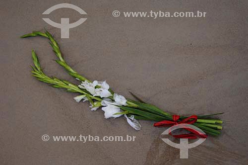  Offering (flower) - Orixas - Iemanjá cult - Umbanda and Candomble - African Brazilian religion - New Year`s Eve- Copacabana - Rio de Janeiro city - Rio de Janeiro state - Brazil  - 2005 