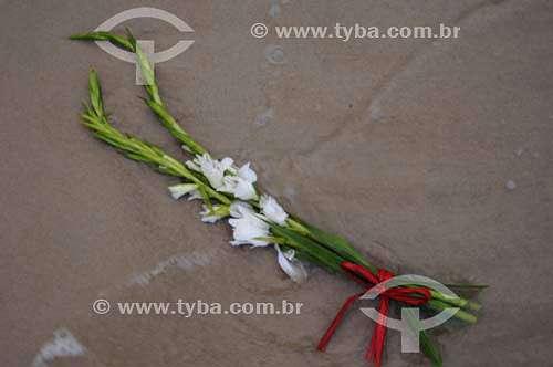  Offering (flower) - Orixas - Iemanjá cult - Umbanda and Candomble - African Brazilian religion - New Year`s Eve- Copacabana- Rio de Janeiro city - Rio de Janeiro state - Brazil  - 2005 