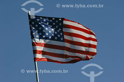  United States of America flag 