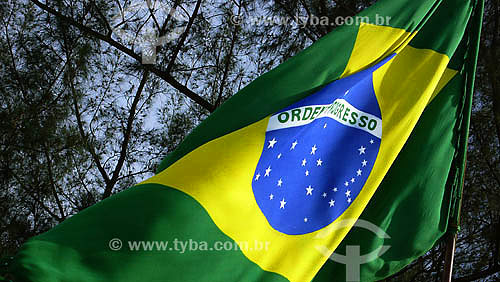  Brazil Flag  