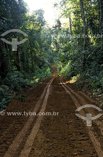  lines of truck tires in dirt road - Amazonian - Brazil 