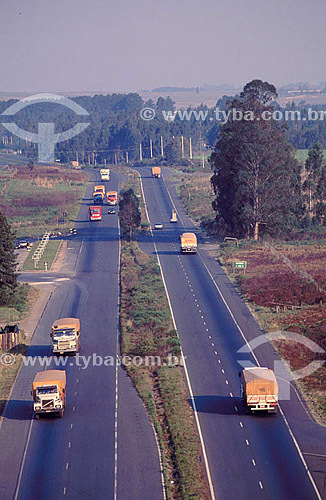  Trucks driving along a road - South of Brazil 