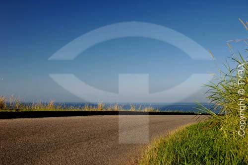  Road to Grumari - Rio de Janeiro city - Rio de Janeiro state - Brazil 