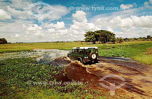  Car - Jeep passing through a flooded road at Pantanal   