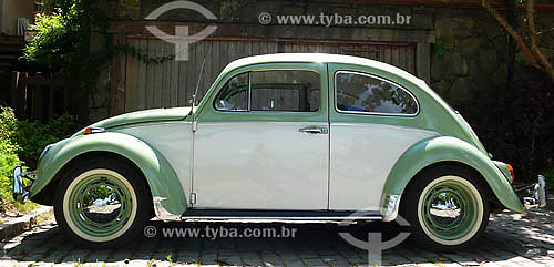  Car - Volkswagen Beetle  