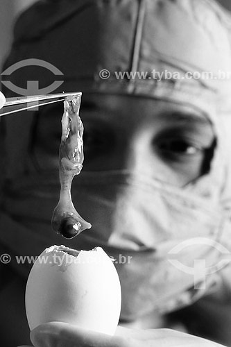   Genetic Engineering - FIOCRUZ  