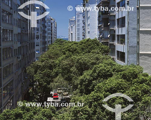  Subject: Tree covering Bolivar street  Place: Copacabana neighbourhood - Rio de Janeiro city - Rio de Janeiro state Date: 25/03/2005 