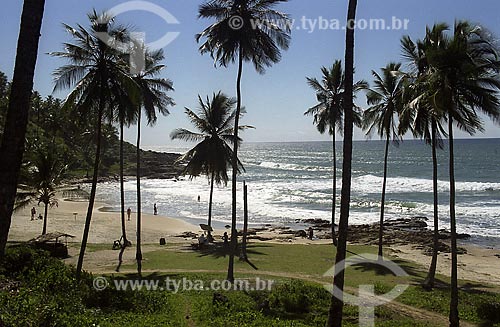  Subject: Beach in Itacare Place: Bahia state Date: 
